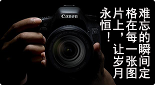 图片展示