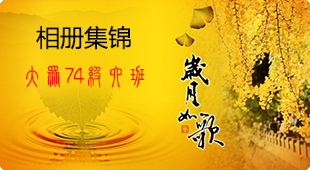 相册集锦